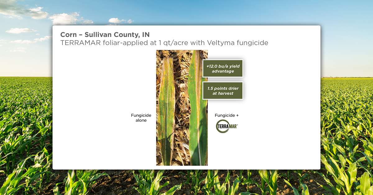 TERRAMAR Enhances Corn and Soybean Fungicide Applications