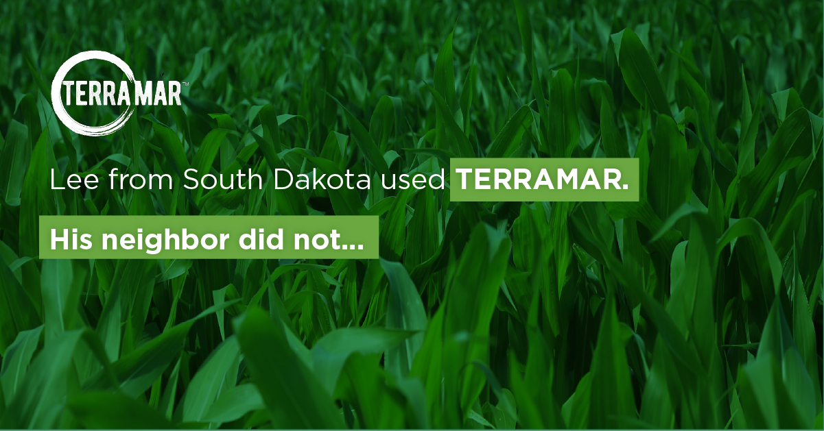 TERRAMAR Helps Grower Hold on to Corn Yield in Tough Conditions