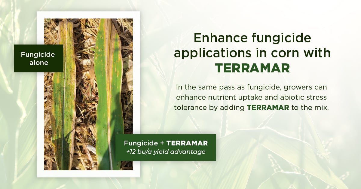 TERRAMAR Enhances Corn and Soybean Fungicide Applications