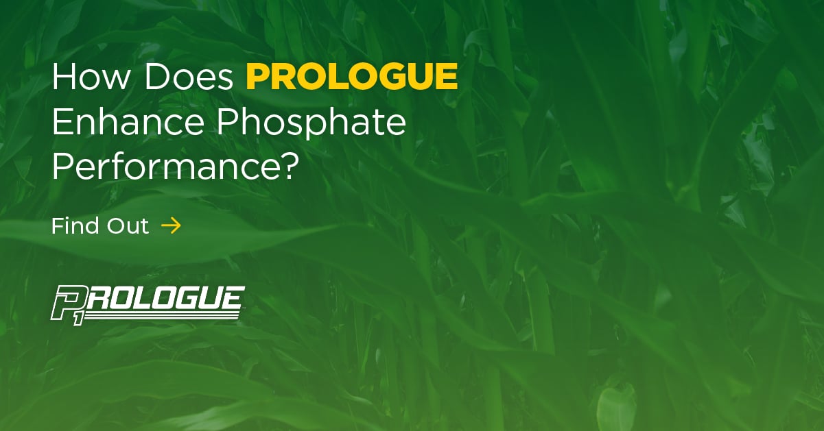 How Does PROLOGUE Enhance Phosphate Performance?