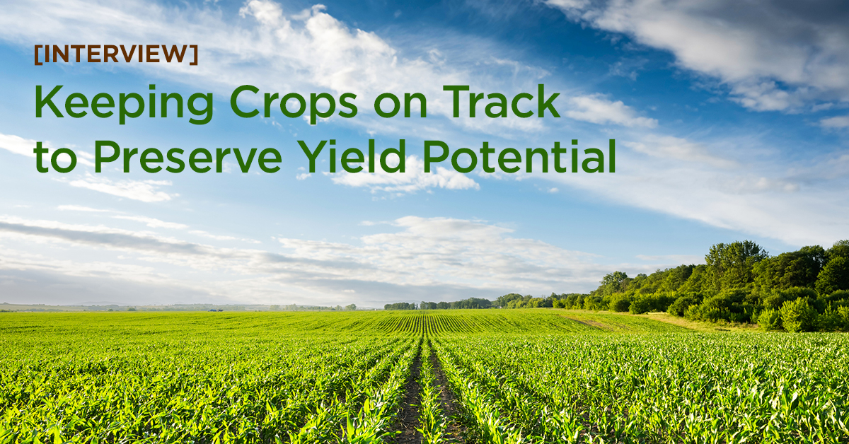[Interview] Keeping Crops on Track to Preserve Yield Potential